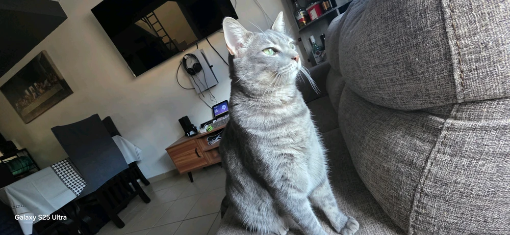 GIF uploaded by Edgar