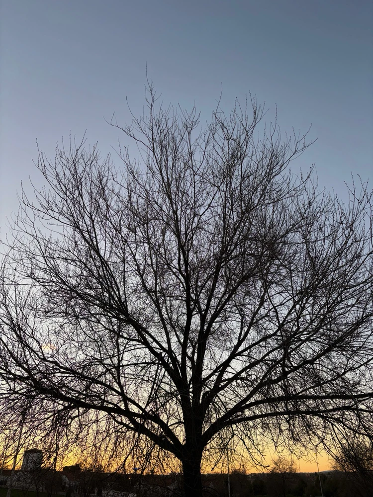 GIF uploaded by María