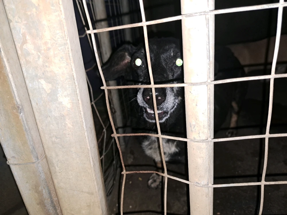 GIF uploaded by Samuel