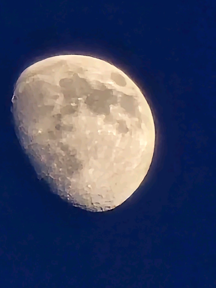 Sliku je postavio/la Vladimir