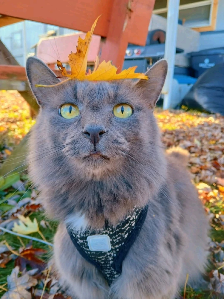 Image uploaded by Ruby