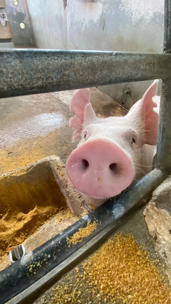 Imagen subida por Alison