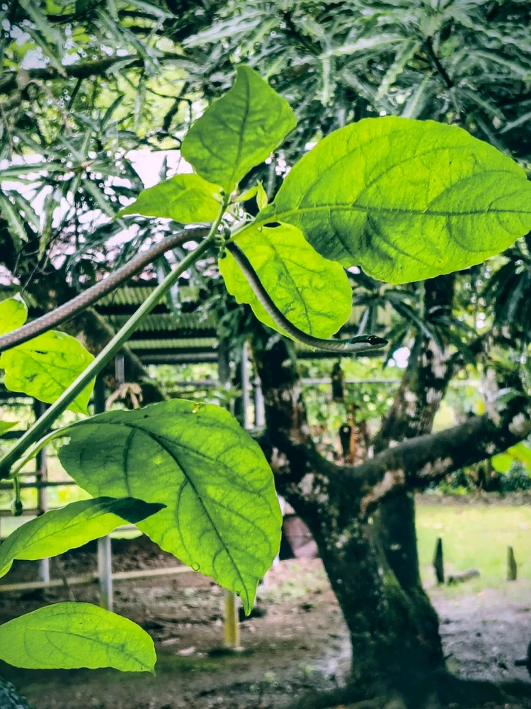 GIF uploaded by Viviana