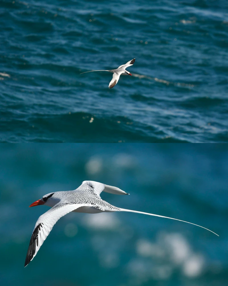 GIF uploaded by Odrareg