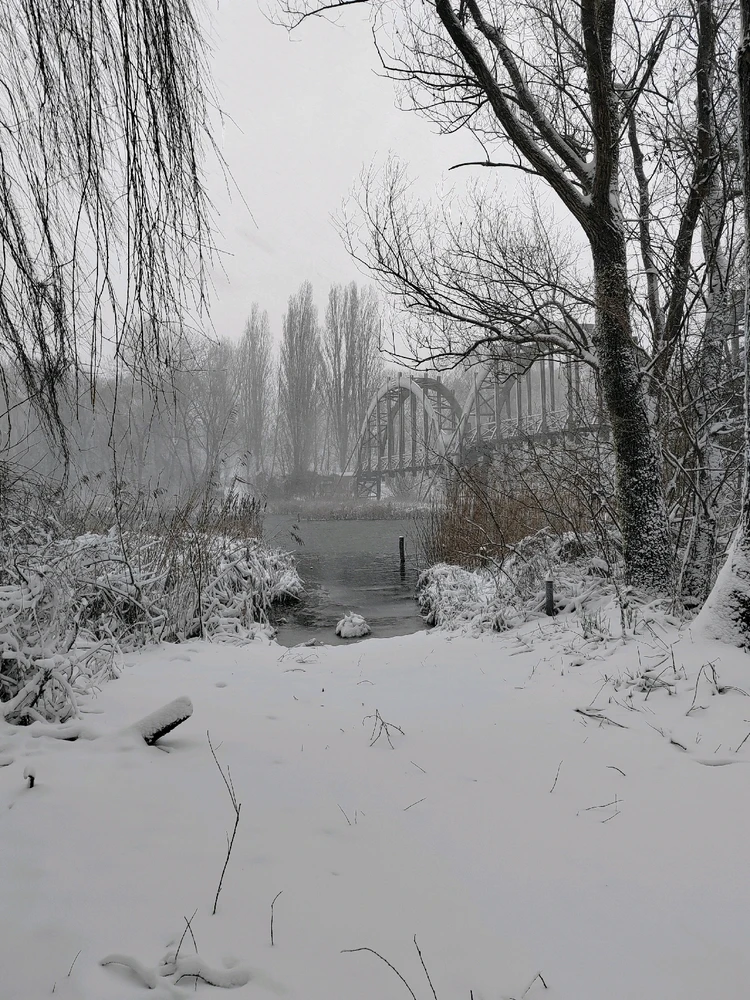 Kristóf által feltöltött GIF