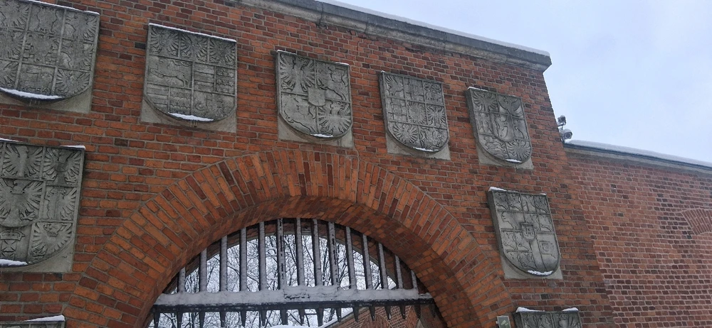 Image uploaded by Mitch