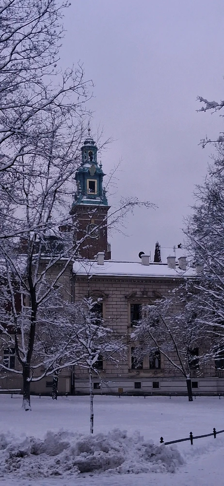 Image uploaded by Mitch