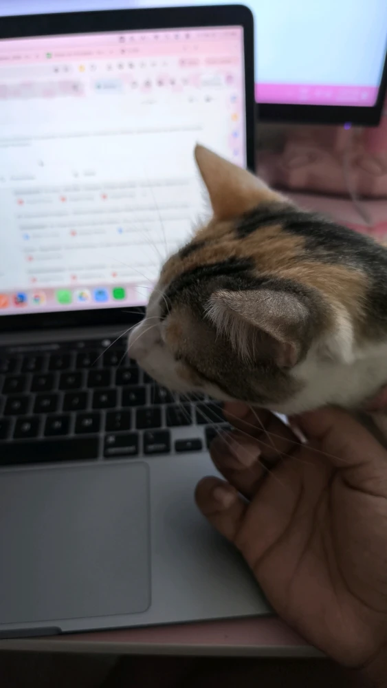 GIF uploaded by Marlenys