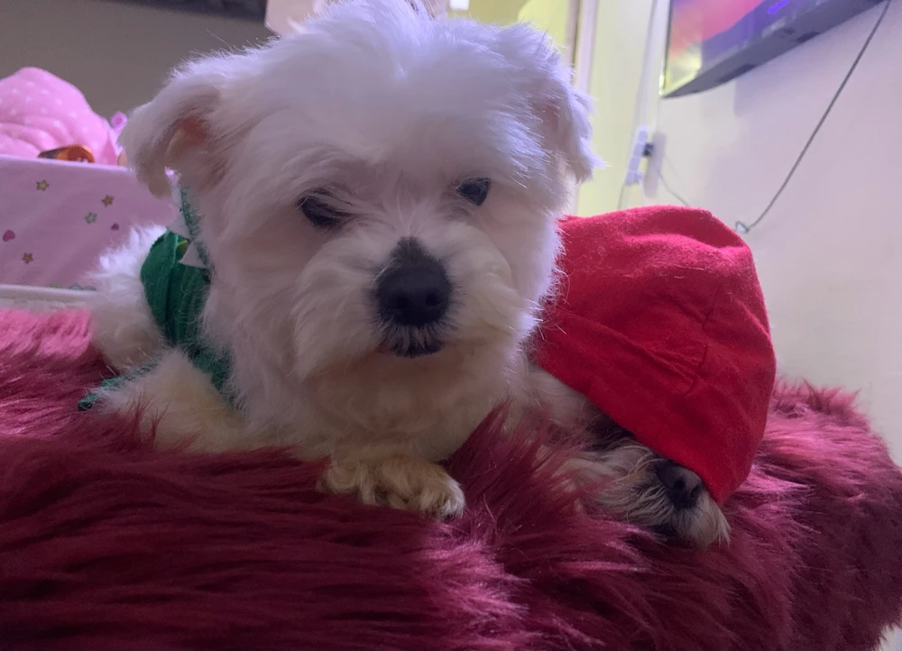 GIF diunggah dening Cathy