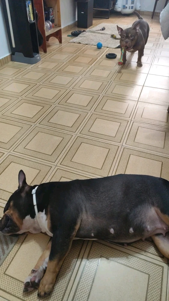 GIF enviado por Raphael Pereira