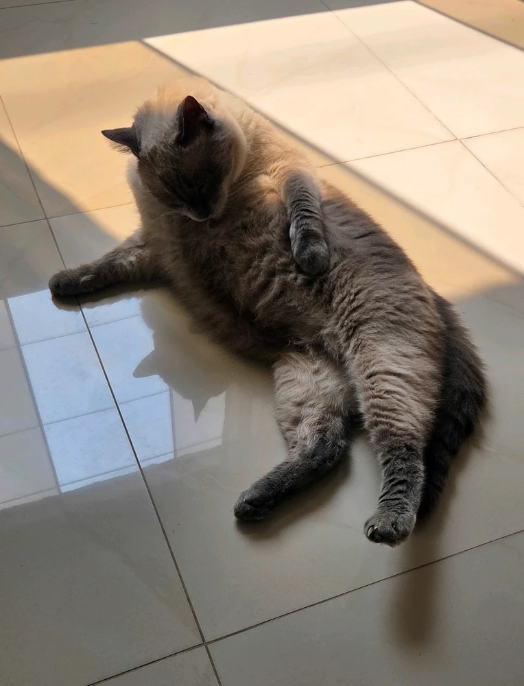 GIF uploaded by Jesús