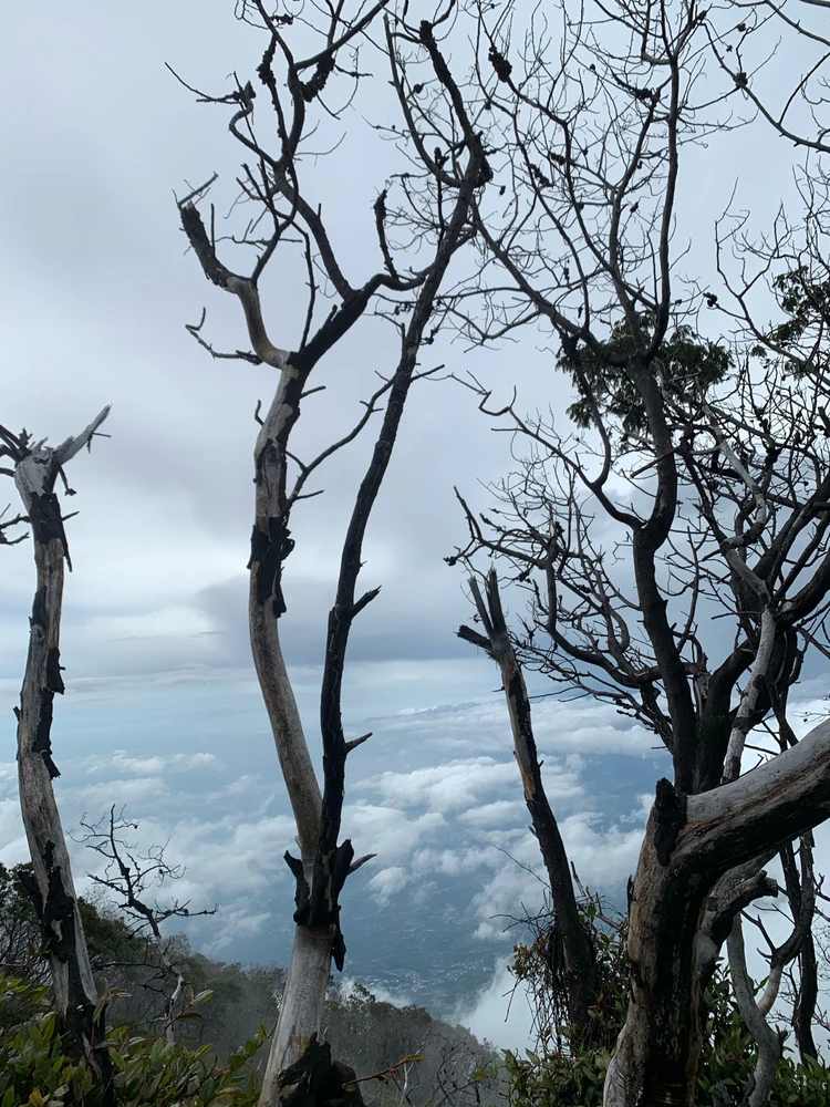 GIF uploaded by Aisya