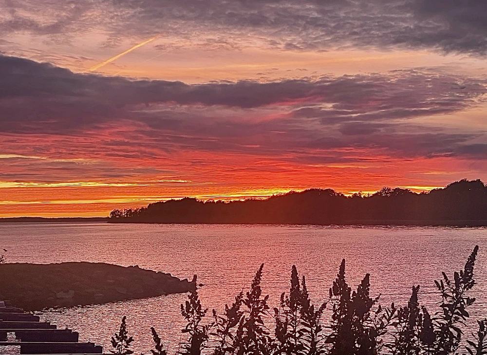 GIF uploaded by Mikael