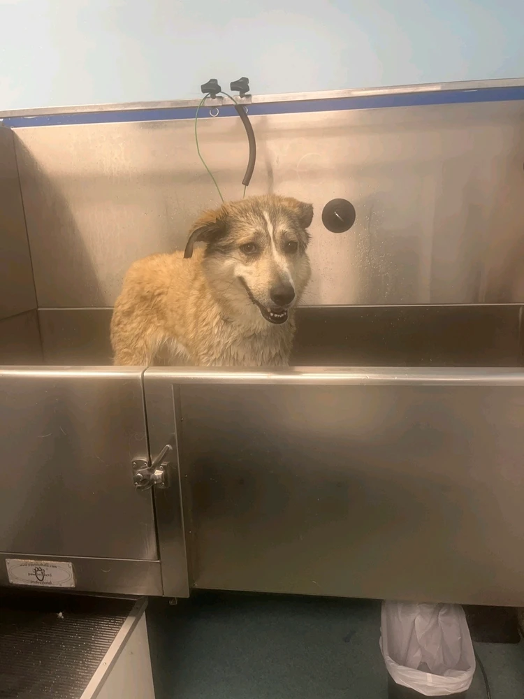 GIF diunggah dening Jonathan