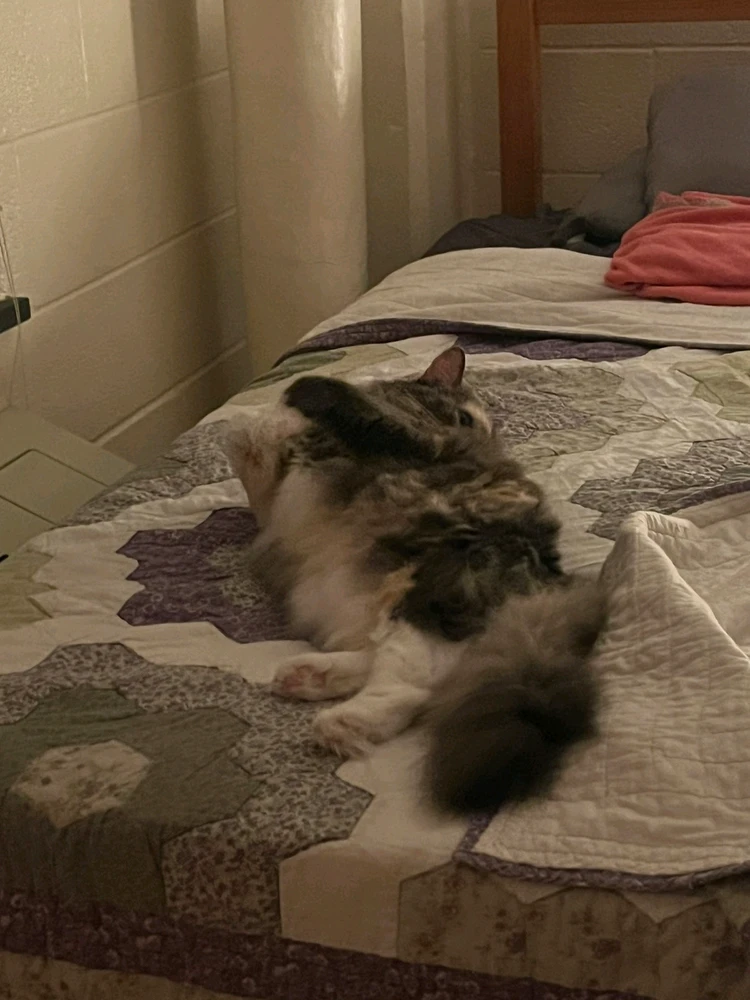 GIF uploaded by Jonathan