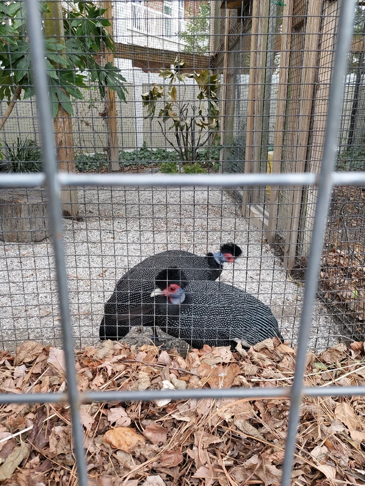 GIF uploaded by Jonathan