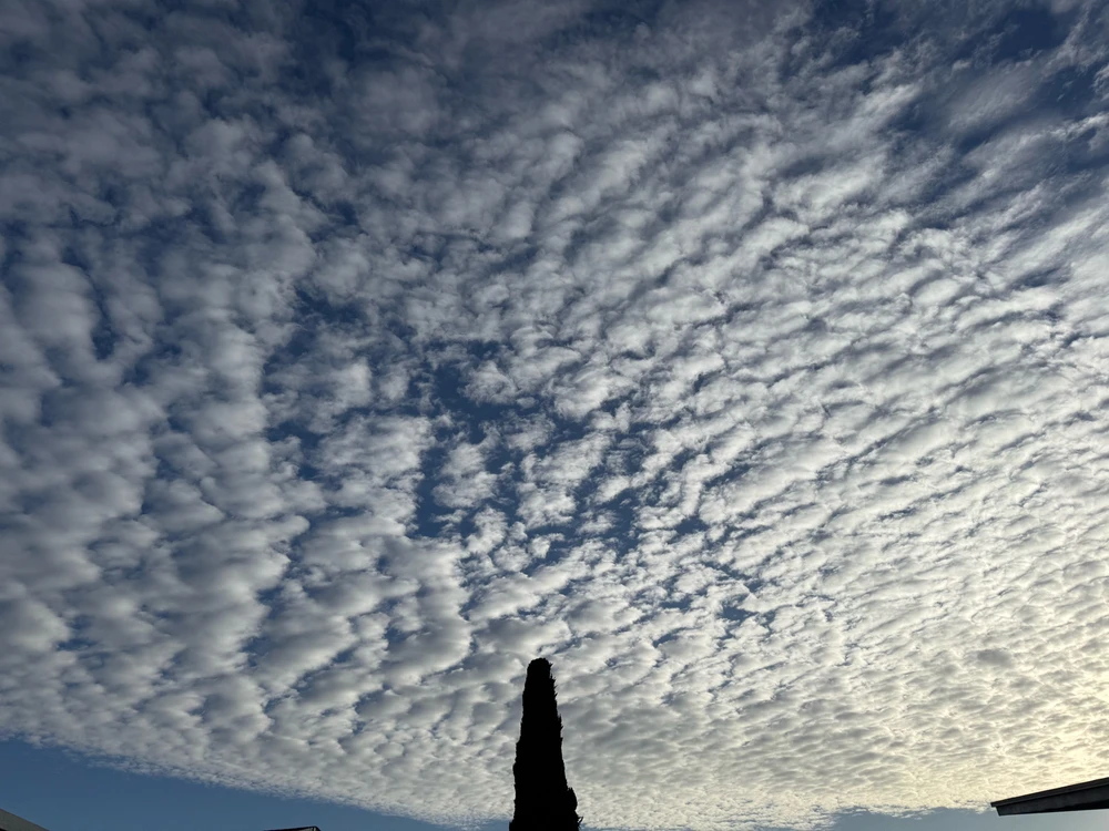 Gambar diunggah dening Guy-O-Blanco