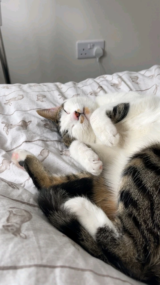 GIF uploaded by Harry