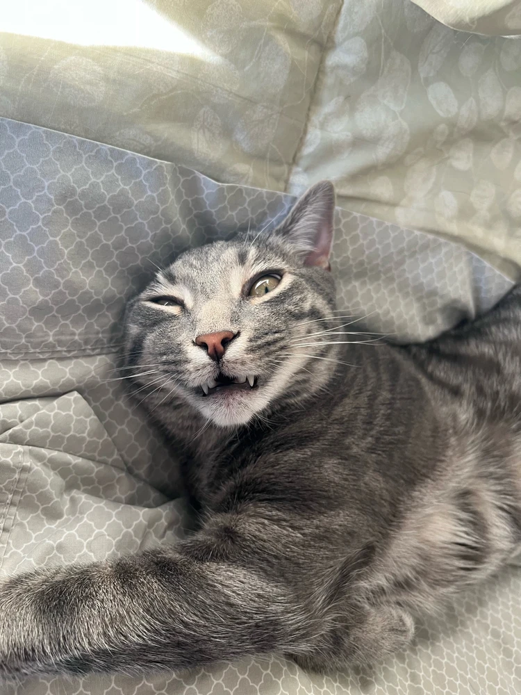 GIF uploaded by Stephen