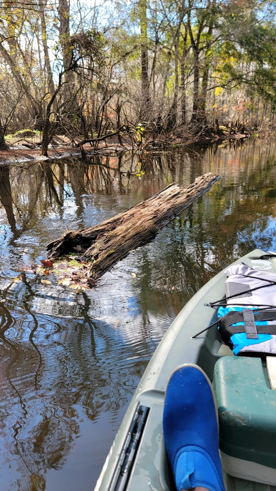 GIF uploaded by Edward