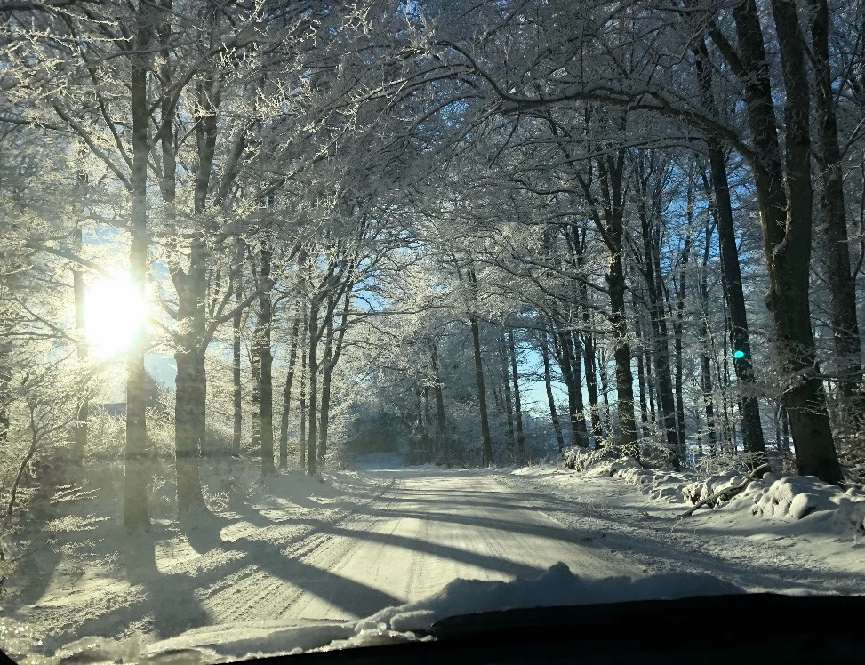 GIF uploaded by Mikael