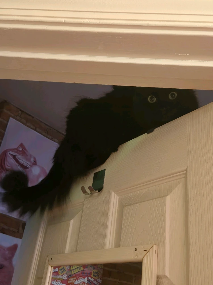 GIF uploaded by Erin