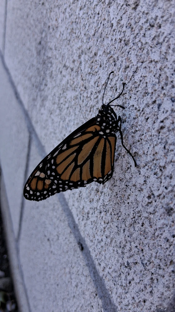 GIF uploaded by Crissy