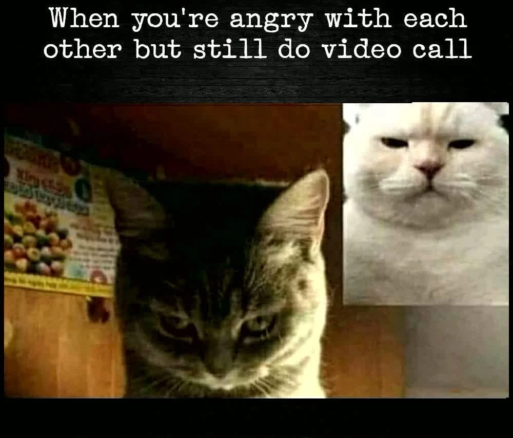 GIF uploaded by Madoo