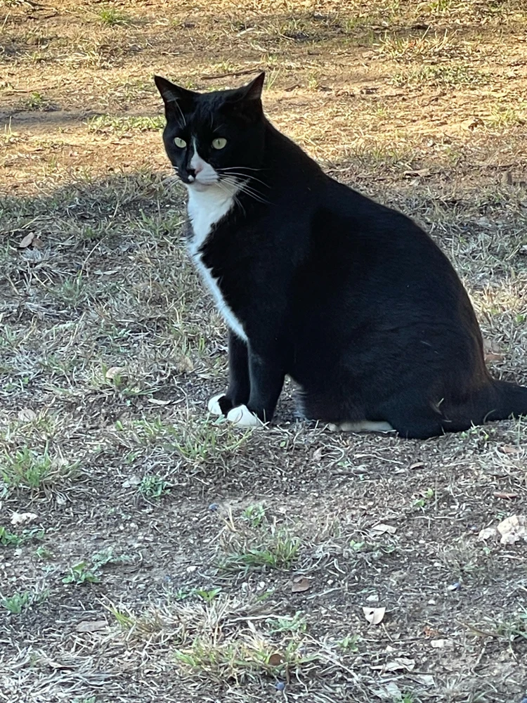 Image uploaded by William