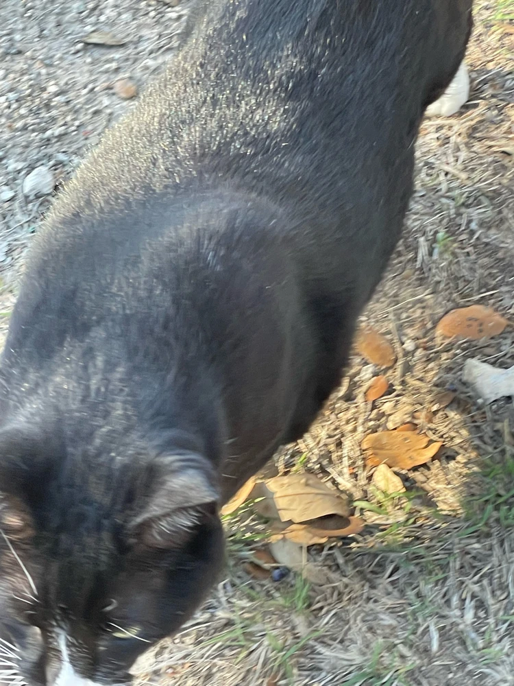 Image uploaded by William