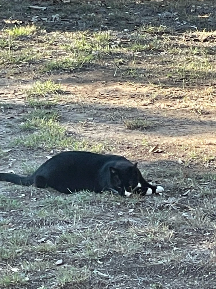 Image uploaded by William