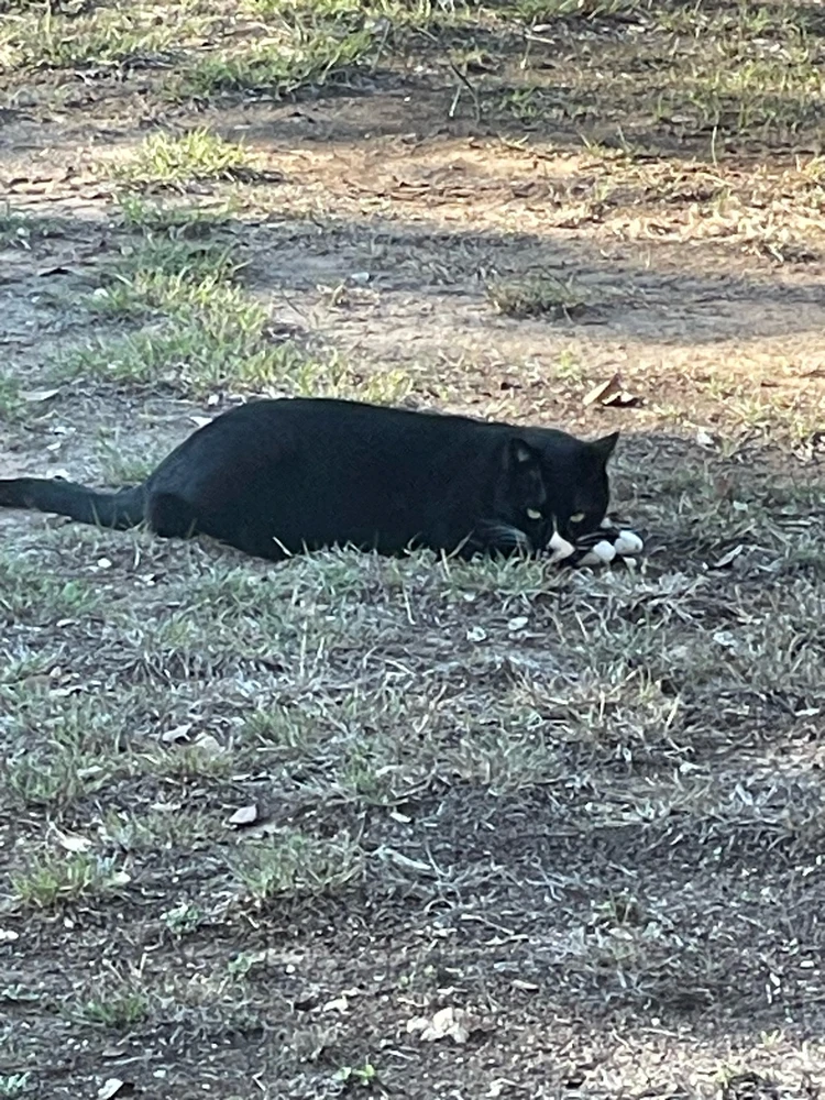 Image uploaded by William