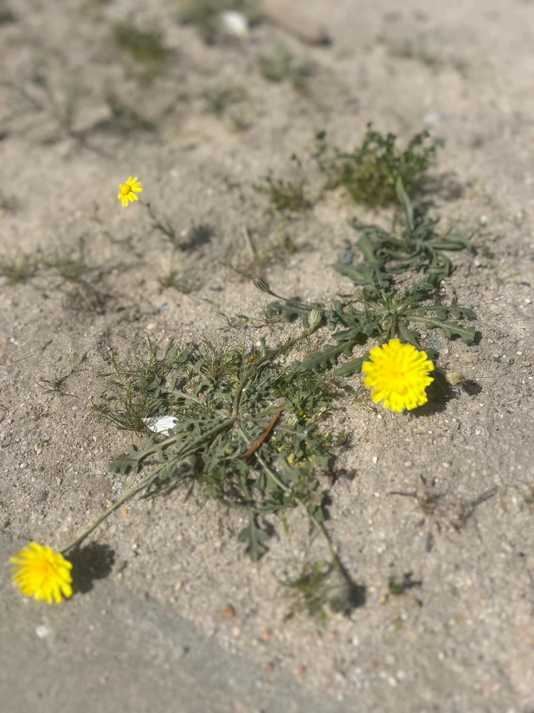 GIF uploaded by Nina