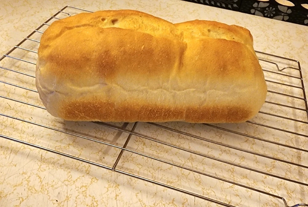 Image uploaded by Dale