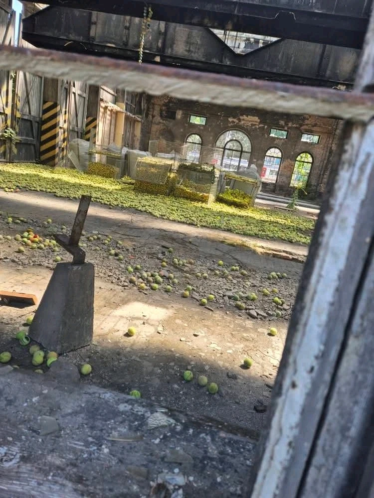 Image ajoutée par Florian