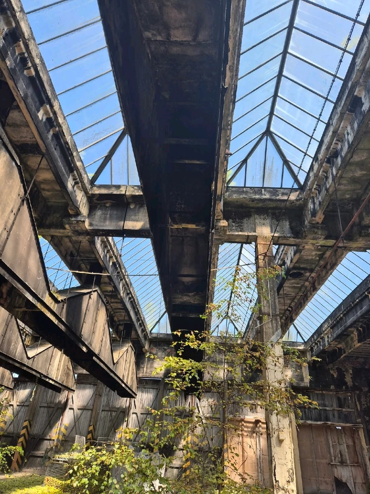 Image ajoutée par Florian
