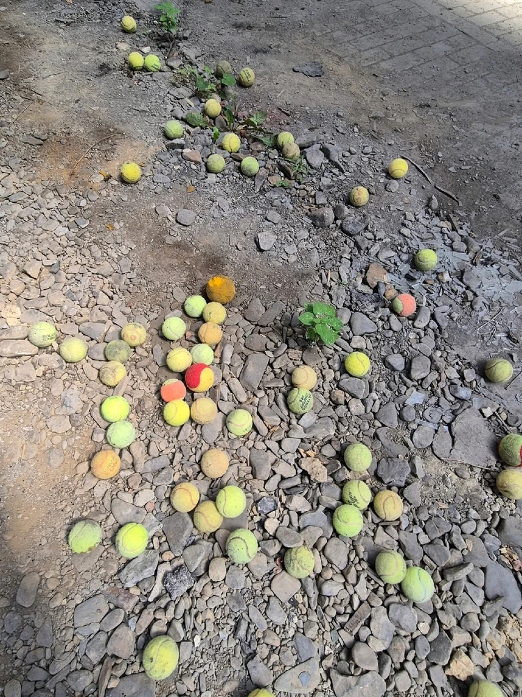 Image ajoutée par Florian