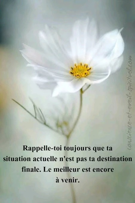 GIF ajouté par Jean-Marc