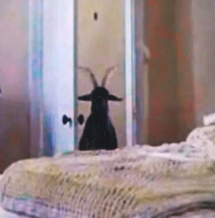 GIF subido por Elizabeth