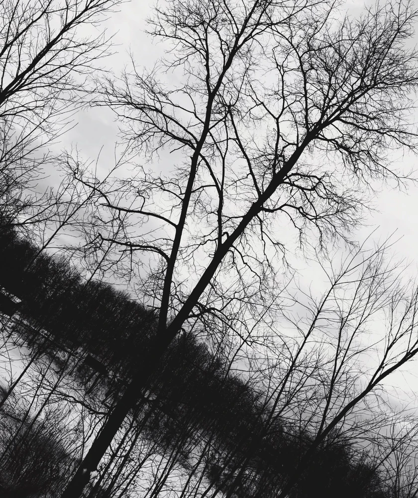 GIF uploaded by Elizabeth