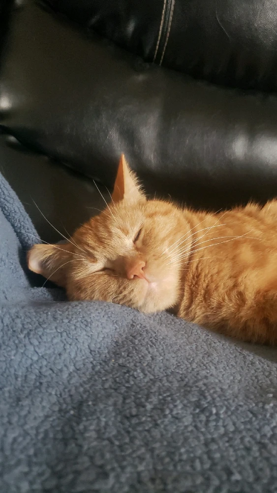 Image uploaded by Gabriel