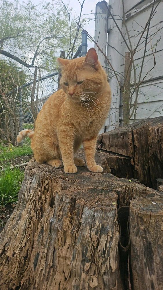 Image uploaded by Gabriel