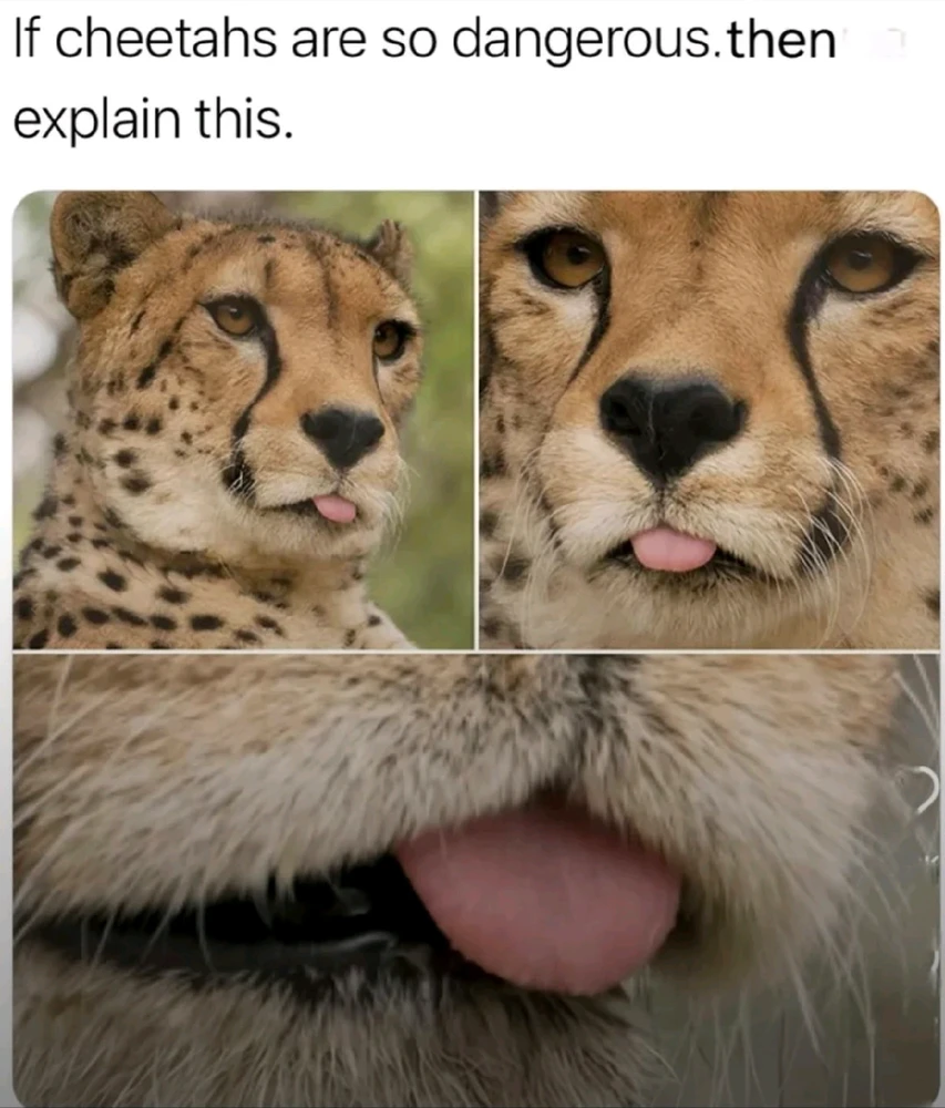 GIF uploaded by Ameer