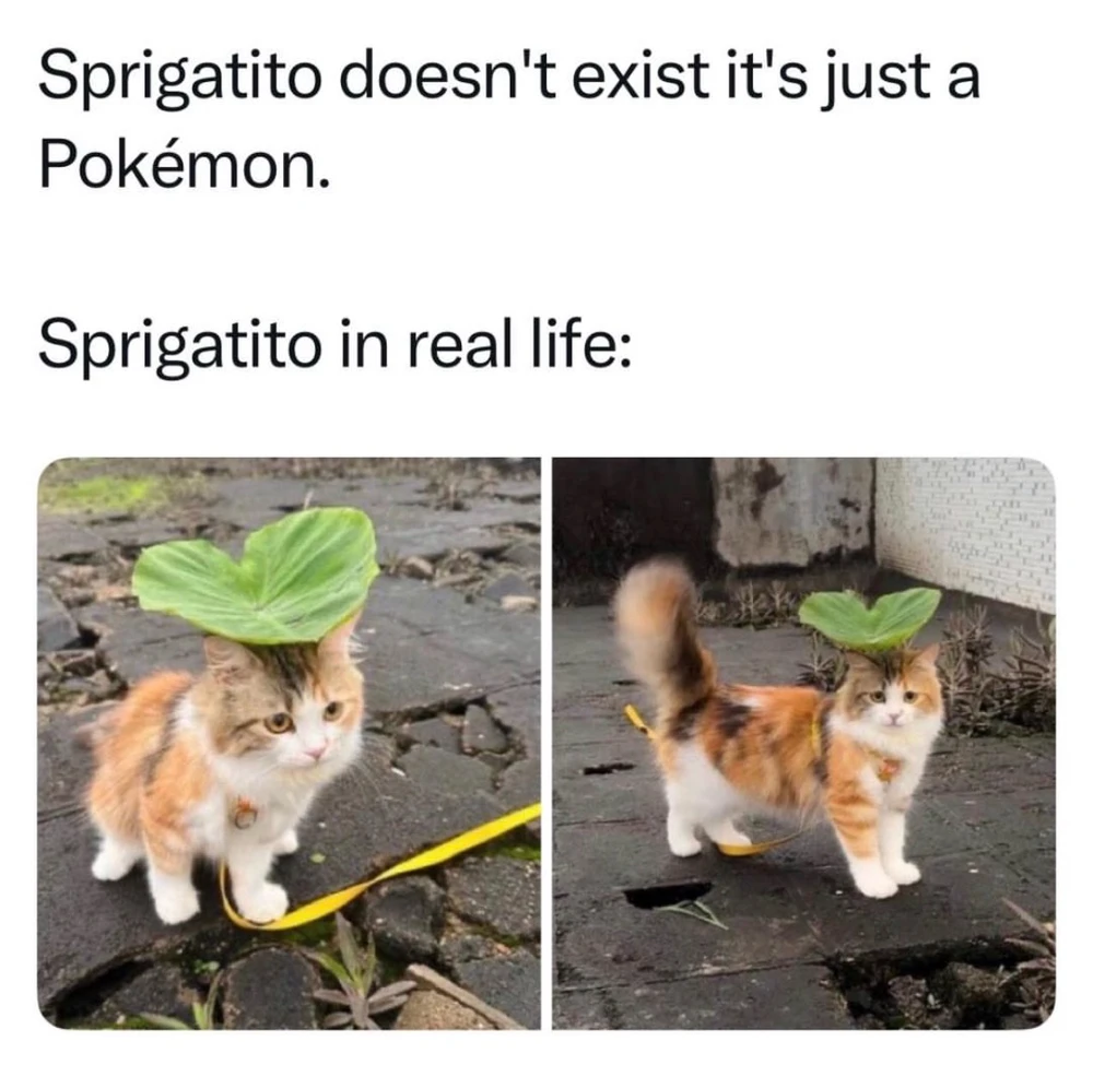 GIF uploaded by Jéssica