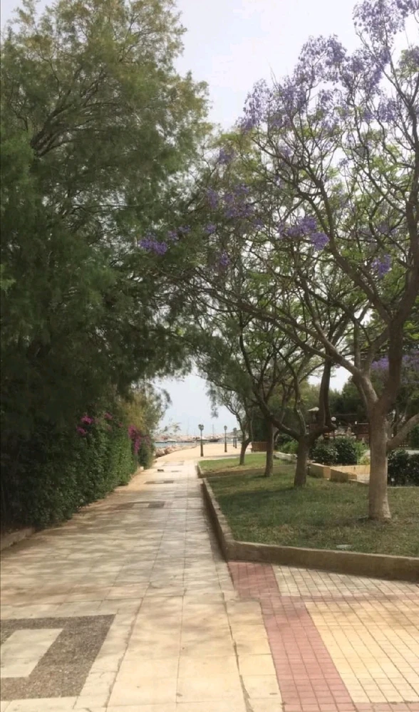 GIF ανέβηκε από Γεωργια