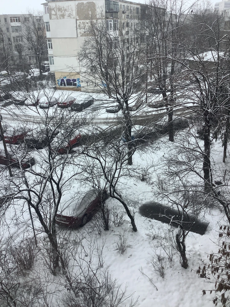 GIF încărcat de Sebastyan