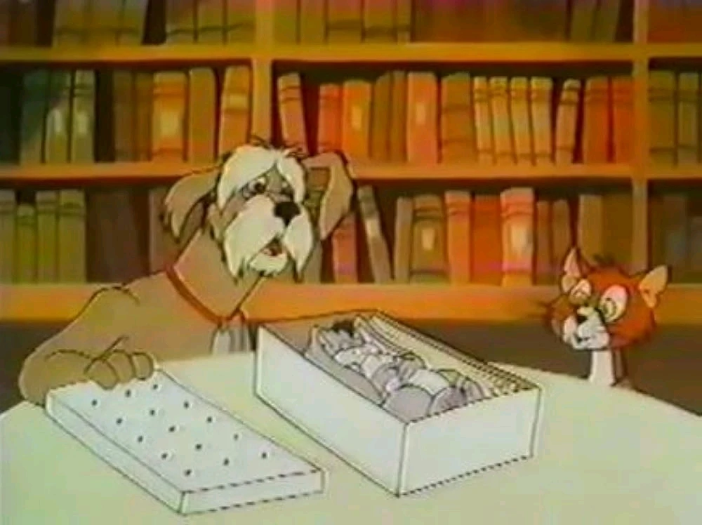 Image uploaded by 𔓎ꑀꌅ꒐ꈵꁲ𔓎 (𖣠ꘘꘘ 𖢧ꛅ𖤢 𖢑ꛎ𖦪𖢉𖤢𖢧)