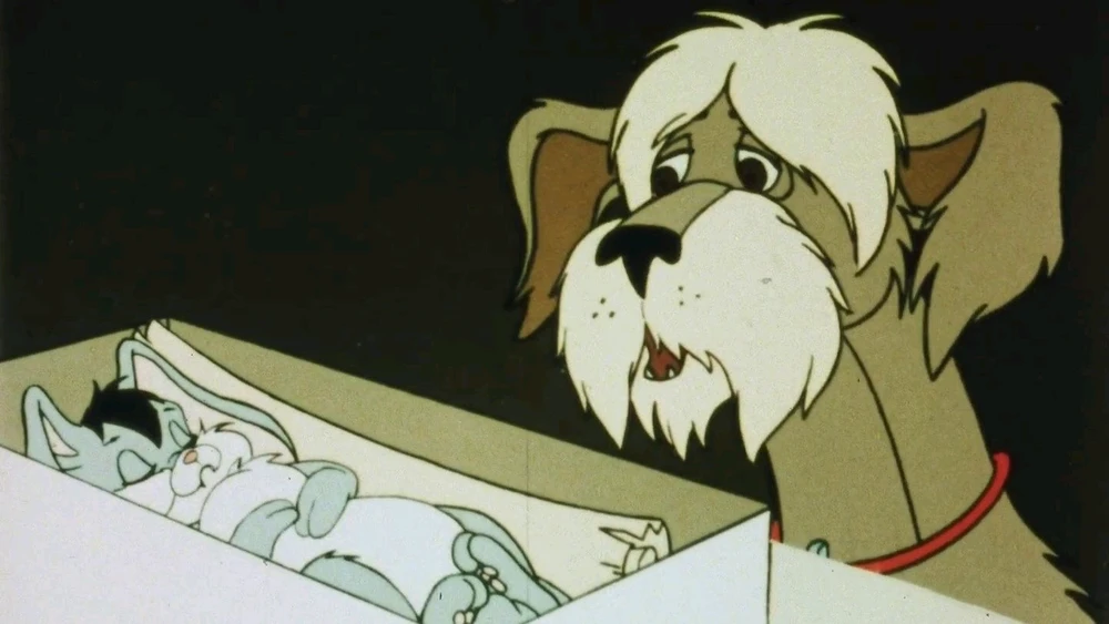 Image uploaded by 𔓎ꑀꌅ꒐ꈵꁲ𔓎 (𖣠ꘘꘘ 𖢧ꛅ𖤢 𖢑ꛎ𖦪𖢉𖤢𖢧)