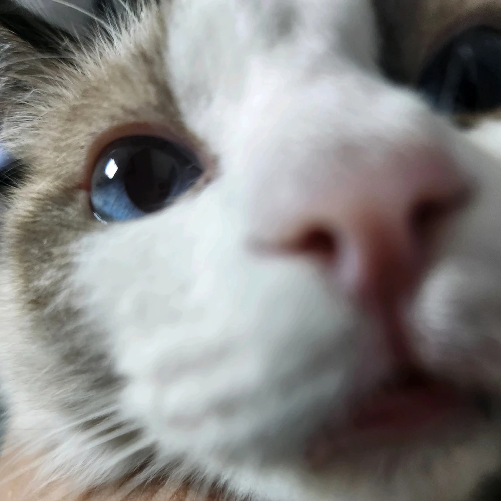 학수님이 올린 사진