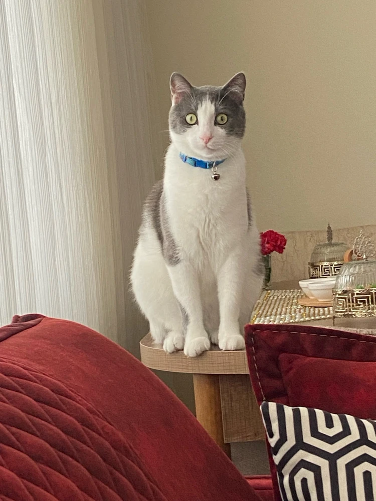 Just Yağmur tarafından yüklenen GIF